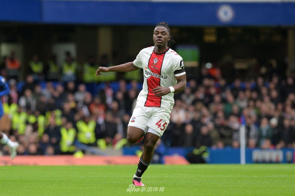 帅显然看中 帅显然看中