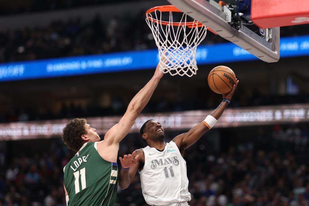 灰熊的对决 灰熊的对决